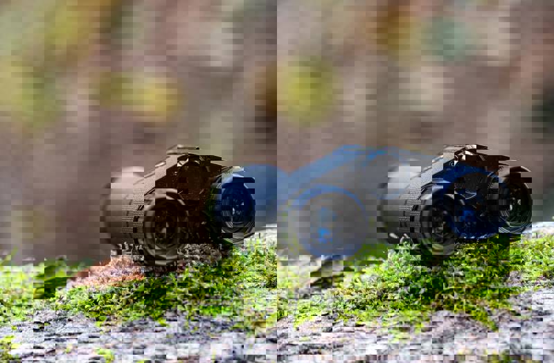 A pair of binoculars resting on moss-covered wood in a natural setting.