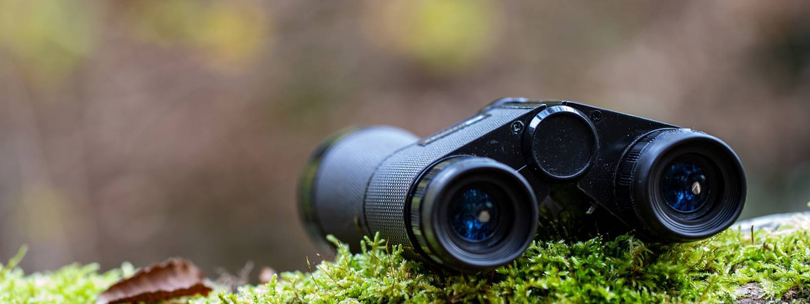 A pair of binoculars resting on moss-covered wood in a natural setting.