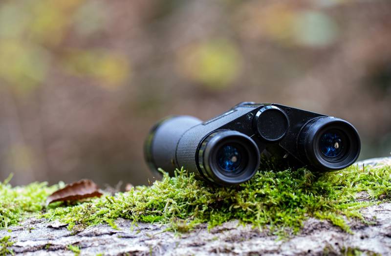 A pair of binoculars resting on moss-covered wood in a natural setting.