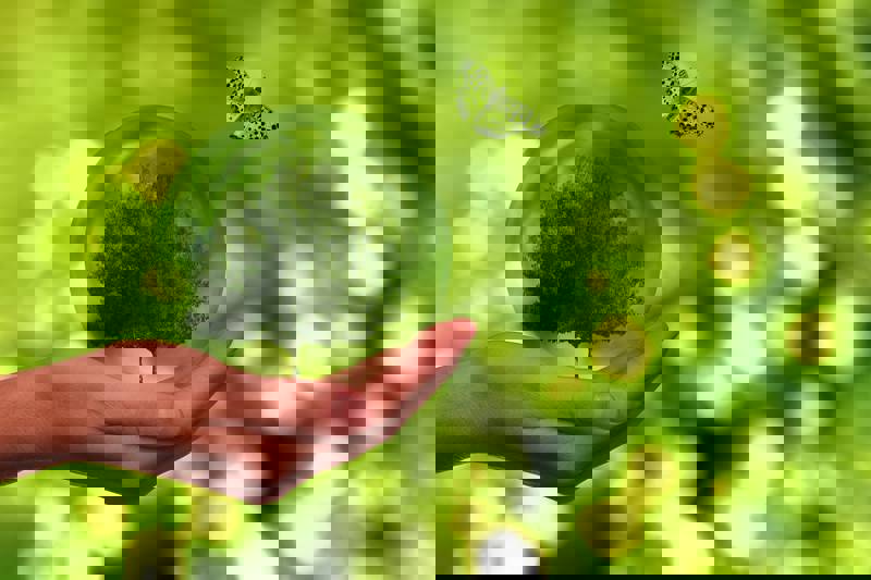 A hand holding a glass sphere with a tree inside, surrounded by a green background.