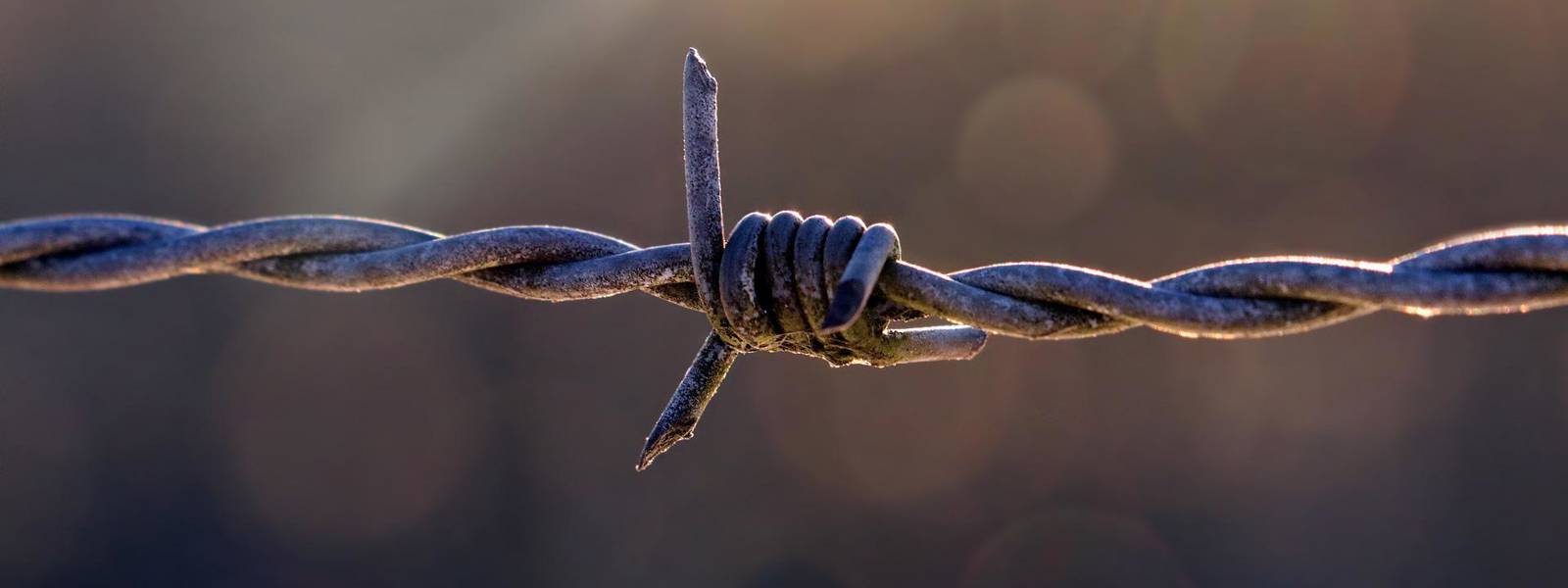 Barbed wire with a twisted knot, set against a softly blurred backdrop of light.
