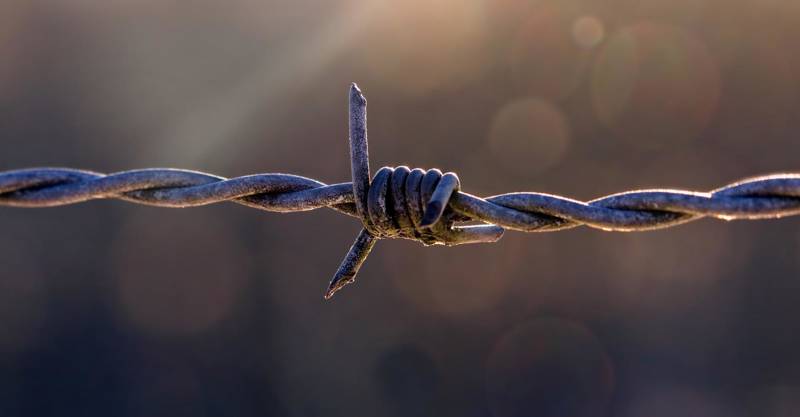 Barbed wire with a twisted knot, set against a softly blurred backdrop of light.